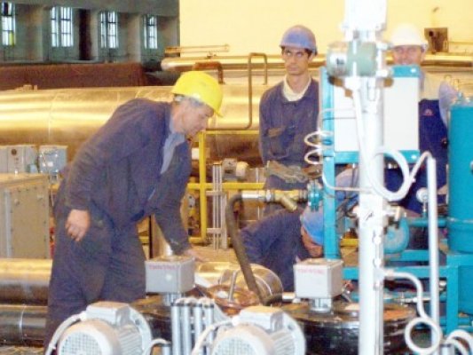 Termoelectrica va intra în lichidare